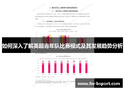 如何深入了解英超青年队比赛模式及其发展趋势分析