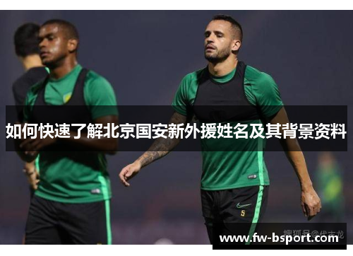 如何快速了解北京国安新外援姓名及其背景资料