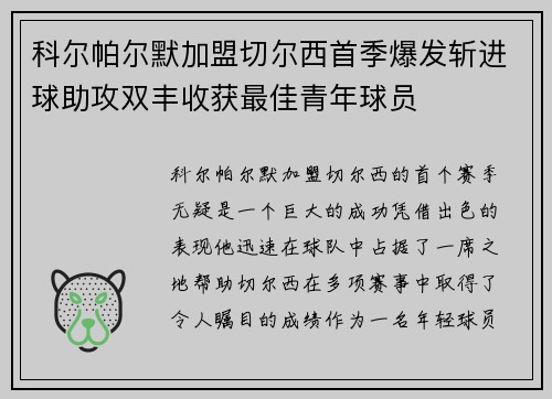 科尔帕尔默加盟切尔西首季爆发斩进球助攻双丰收获最佳青年球员